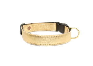 QR Collar - Gold