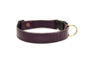 QR Collar - Purple