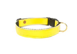 QR Collar - Yellow